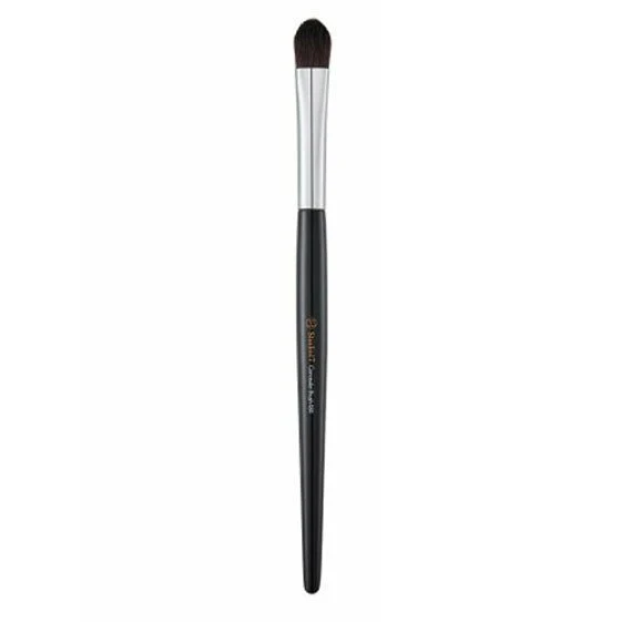 Concealer Brush 484